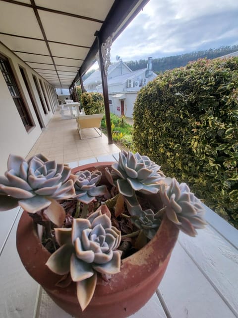 Day, View (from property/room), Balcony/Terrace