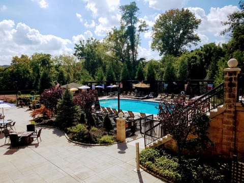 Summer, Tennis court, Swimming pool, Lunch, Alcoholic drinks