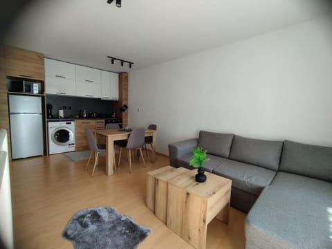 Kitchen or kitchenette, Living room, Dining area, oven, stove, washing machine, dryer