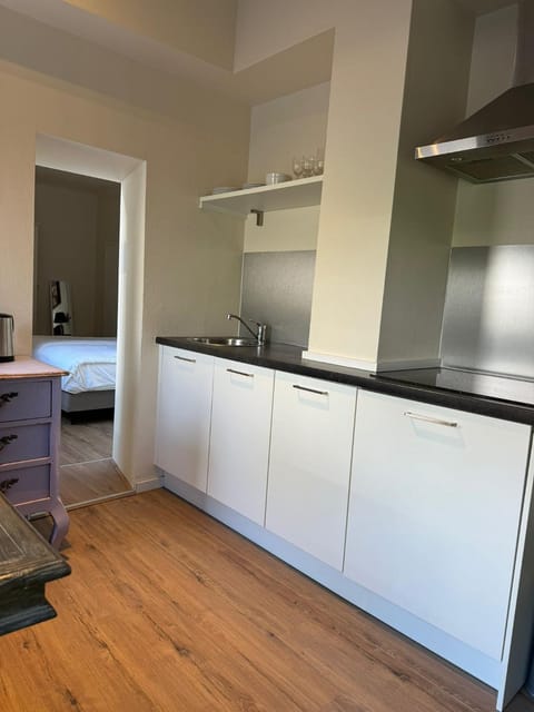 Orangerie Apartment in Maastricht