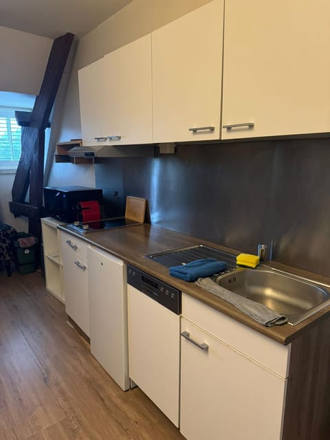 Orangerie Apartment in Maastricht