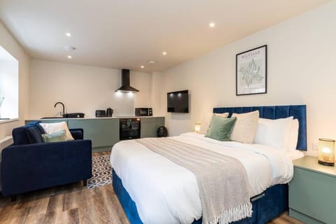 Bed, TV and multimedia, Kitchen or kitchenette, Photo of the whole room, Seating area, Bedroom