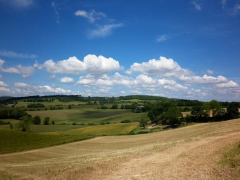 View (from property/room)
