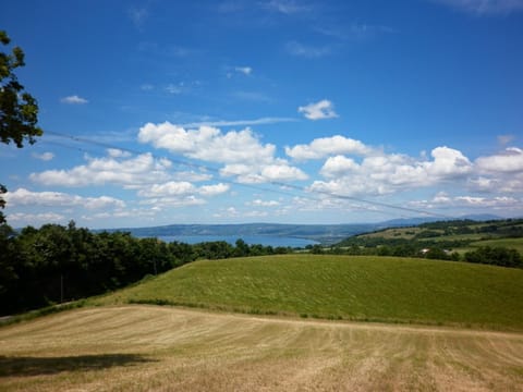 View (from property/room)