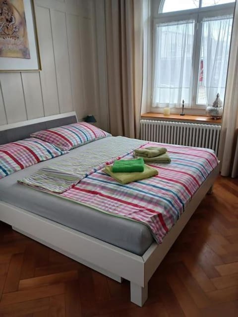 Charmante Jugendstilwohnung mit Tiefengaragenplatz Apartment in St. Gallen