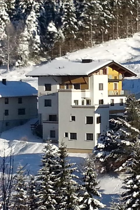 Property building, Winter