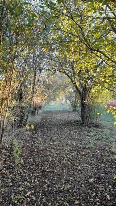 Appartamento Bosco in Città Apartment in Reggio Emilia