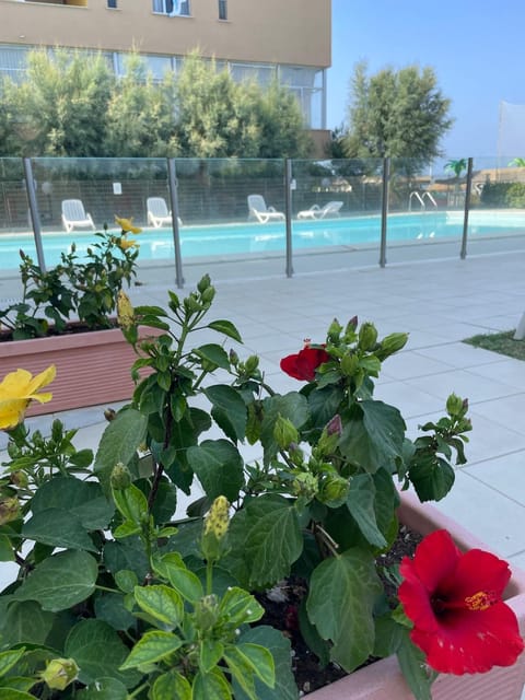 Day, Pool view, Swimming pool