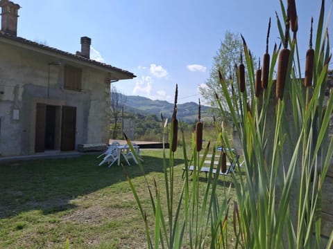 Natural landscape