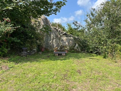 Bryn Rhedyn cottage House in Wales