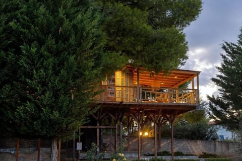 Sani Tree House House in Halkidiki