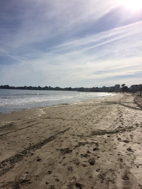 Studio dans les pins à 2 pas de la plage Apartment in Le Pouliguen