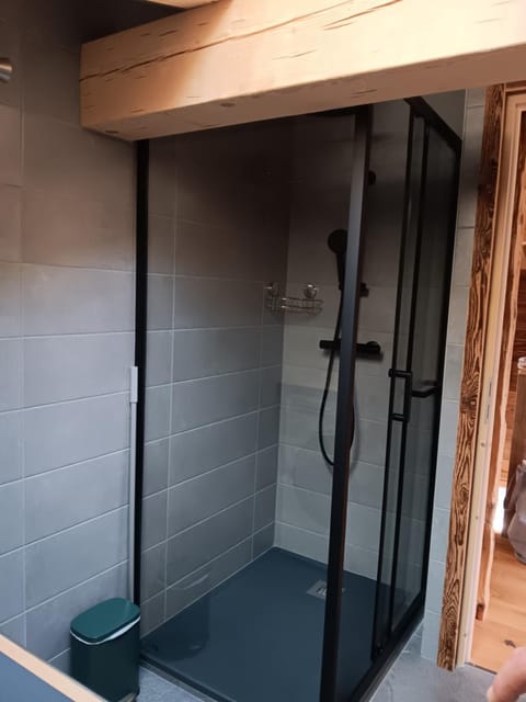 Chalet rinette Chalet in Chamonix