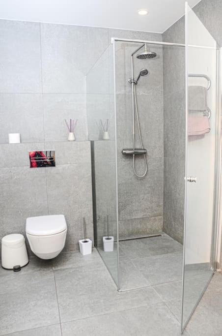 Rami erdvė šalia miško ir ežero darbui ir poilsiui Apartment in Senieji Trakai