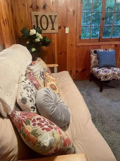 Up North No Worries! - Close to Mackinac Island! House in Carp Lake