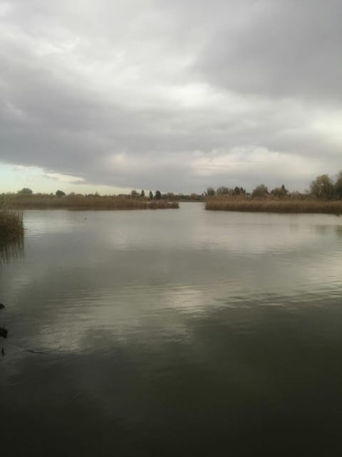 Fishing, Sports