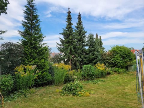 Garden, Garden view