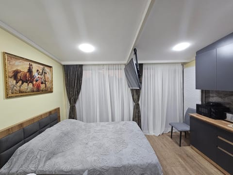 Bed, TV and multimedia, Kitchen or kitchenette, Photo of the whole room, Bedroom