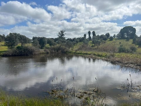 Natural landscape, View (from property/room)