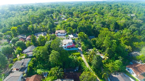 Natural landscape, Garden