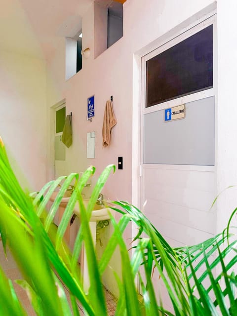 Center Rooms Vacation rental in Oaxaca