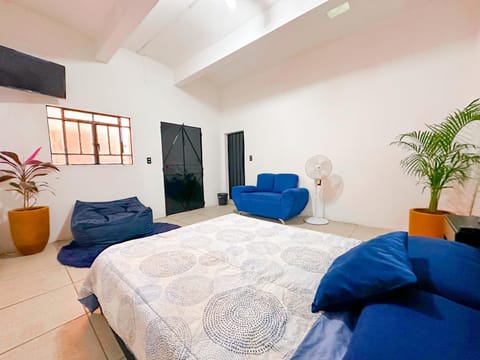 Center Rooms Vacation rental in Oaxaca