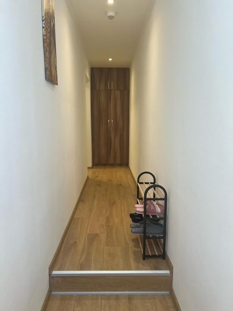 Apartman Uno Apartment in Timiș County