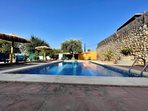 Day, Pool view, Swimming pool, Swimming pool