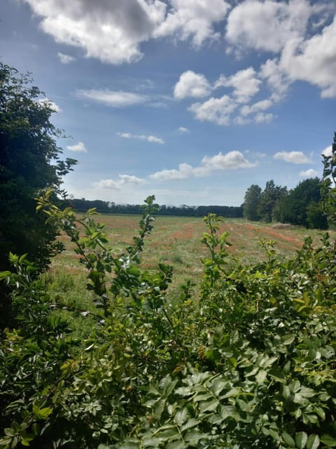 roulotte chez France Luxury tent in Hauts-de-France