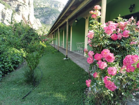 Property building, Spring, Day, Garden, Garden view