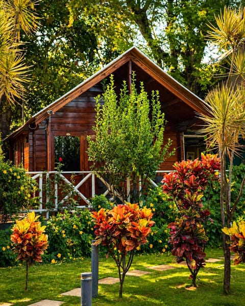Day, Garden