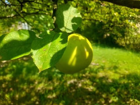 Maison Lumineuse et Moderne Paris Disney House in Chelles