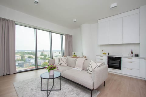 Kitchen or kitchenette, Living room, Seating area, Dining area, stove