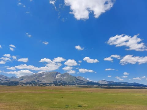 Inner courtyard view
