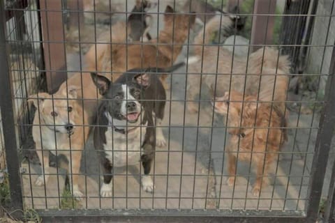 Stylish Garage Apartment by Reese Creek Apartment in Rio Grande