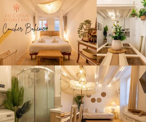 Coucher Bohème Apartment in Orléans