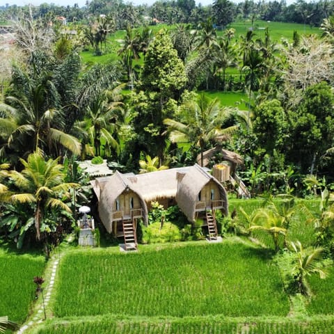 Property building, Day, Garden view