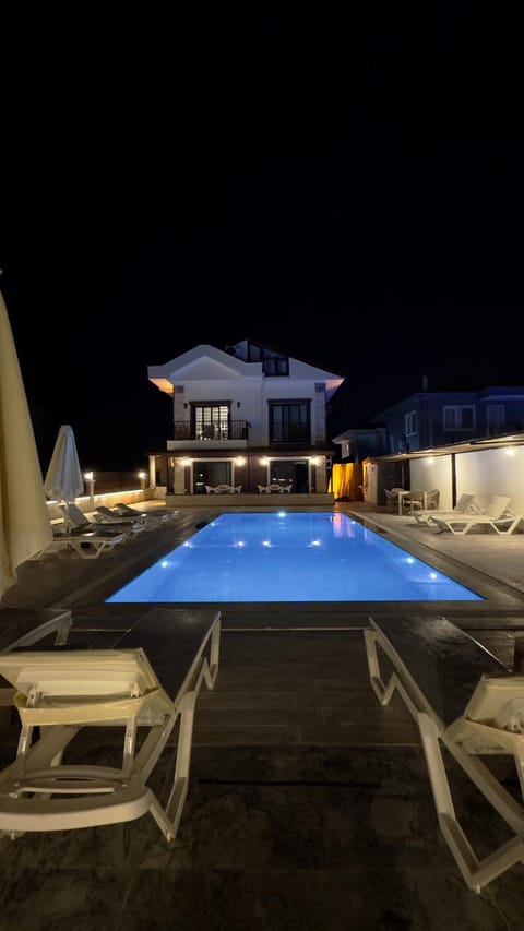 Night, Garden, Pool view, Swimming pool