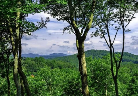 River Rock Cabin - Comfortable, Private Home with King Beds & Mountain Views Cabin in Horse Shoe