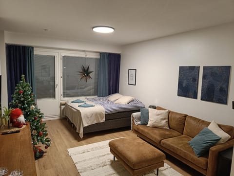Viihtyisä huoneisto keskustassa Apartment in Rovaniemi
