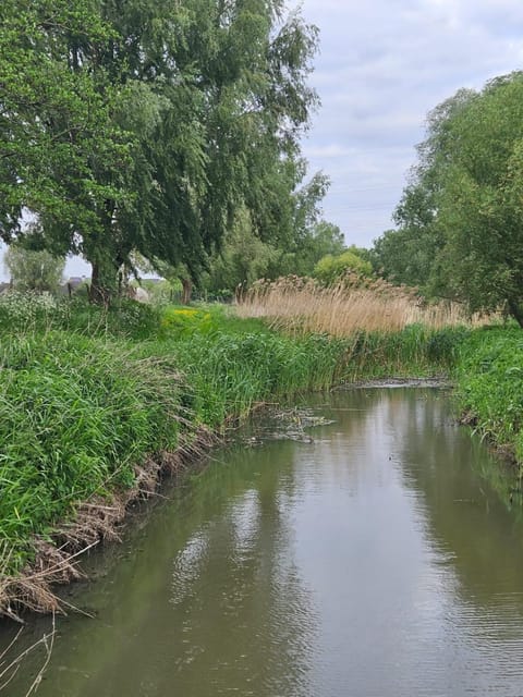 T Nest van Heeden Bed and Breakfast in Flanders