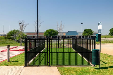 Property building, pet friendly