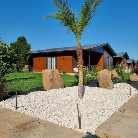 Property building, Day, Garden view