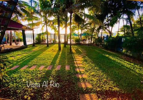 Natural landscape, Garden, Garden view