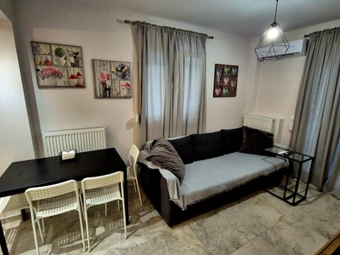 Living room, Seating area, Dining area, air conditioner