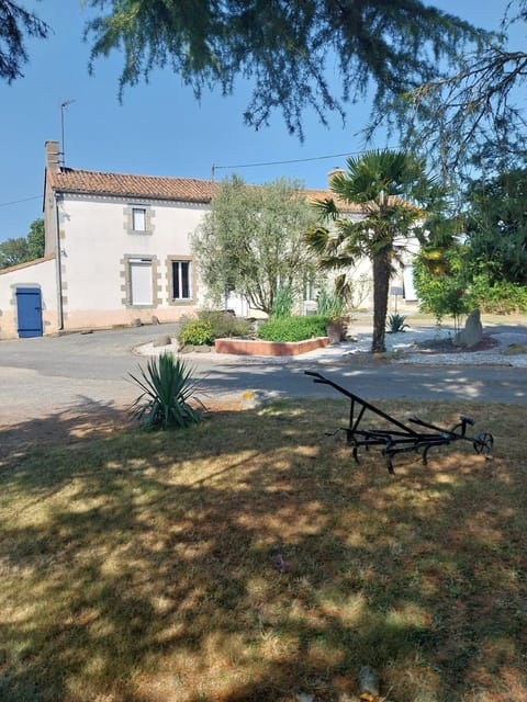Property building, Garden view