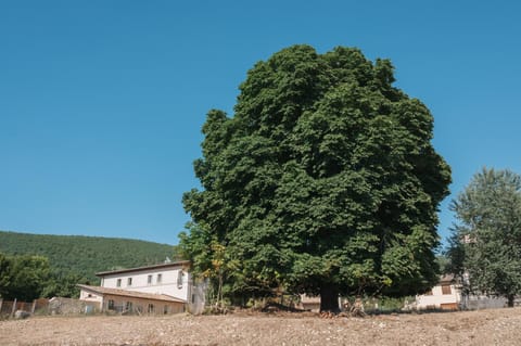 Natural landscape, Mountain view