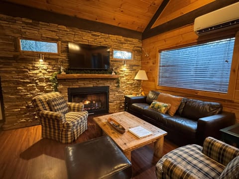 TV and multimedia, Living room, Photo of the whole room, Seating area, fireplace, heating, air conditioner