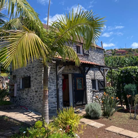 Property building, Day, Garden, Garden