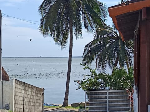 Casa da Lagoa House in State of Rio de Janeiro
